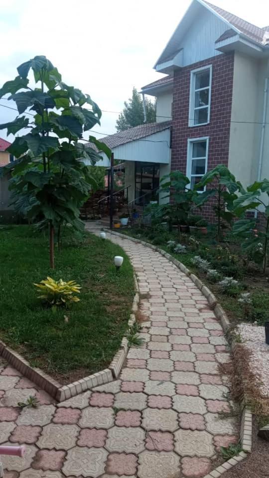 Turan Guesthouse Karakol Exterior foto